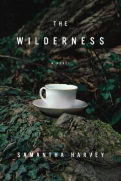 The wilderness : a novel