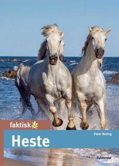 Heste