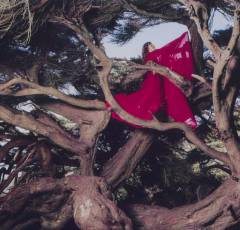 Nested in tangles