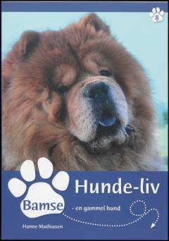 Bamse - en gammel hund