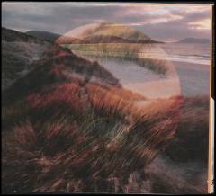 Marram