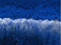 New Denmark : New Brunswick, Canada : udviklingen i en dansk udvandrerkoloni 1872-1914