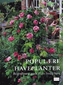 Populære haveplanter : begynderens guide til en frodig have