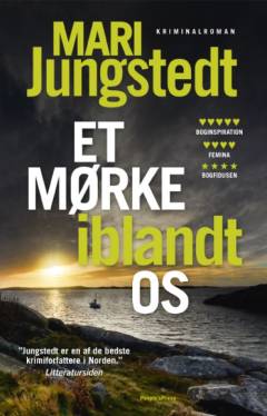 Et mørke iblandt os : kriminalroman