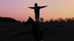 Ponylove. Afsnit 3 : Hestekræfter