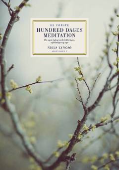 De første hundred dages meditation : din egen logbog med forklaringer, vejledninger og tips