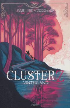 Cluster Z - vinterland