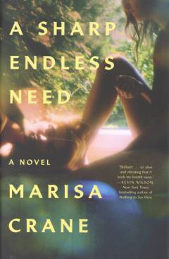 A sharp endless need : a novel