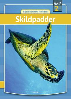 Skildpadder