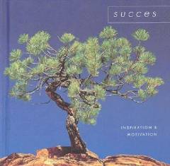 Succes