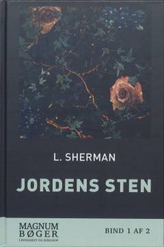 Jordens sten. Bind 1 (Stor skrift)