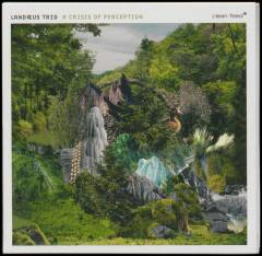 A crisis of perception