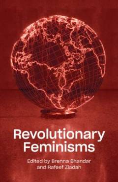 Revolutionary feminisms : conversations on collective action and radical thought