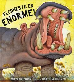 Flodheste er enorme!