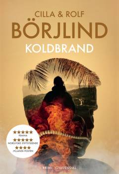 Koldbrand : krimi