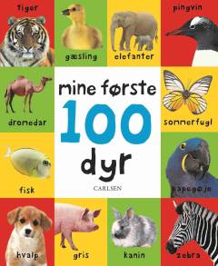 Billedbog, 1. udgave, 2020
