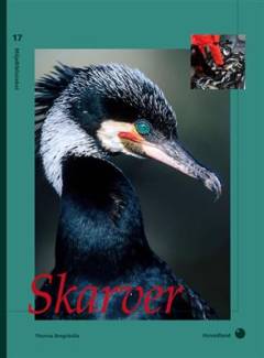 Skarven