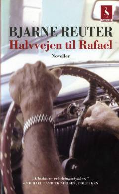 Halvvejen til Rafael : noveller