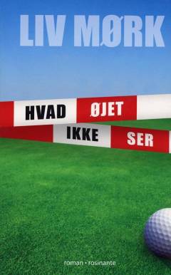 Hvad øjet ikke ser : en kriminalroman