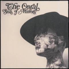 Sea of mirrors