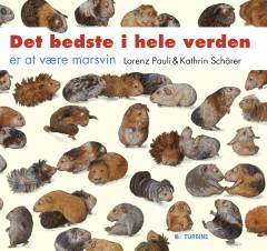 Det bedste i hele verden er at være marsvin