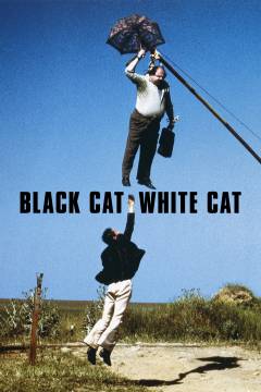 Film (online), 2026