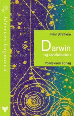 Bog, 1999