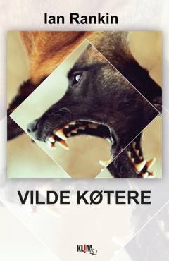 Vilde køtere. Bind 2 (Stor skrift)