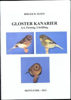 Gloster kanarier : avl, pasning, udstilling