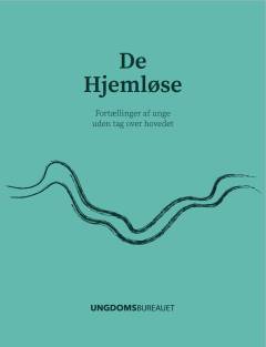 De hjemløse : fortællinger af unge uden tag over hovedet