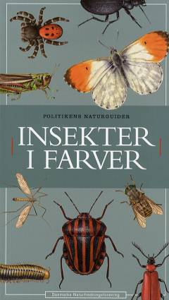 Insekter i farver