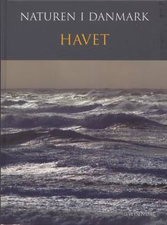 Bog, 1. udgave, 2006