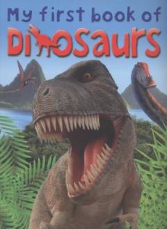 My first book of dinosaurs