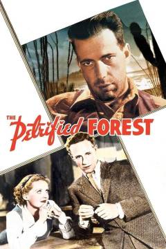 The petrified forest