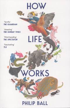 How life works : a user's guide to the new biology