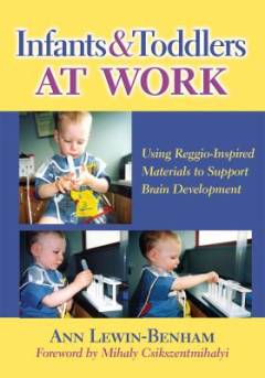 Infants and toddlers at work : using Reggio-inspired materials to support brain development