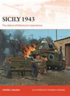 Sicily 1943 : the debut of Allied joint operations