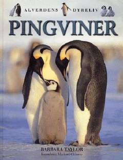 Pingviner