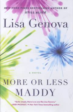 More or less Maddy : a novel