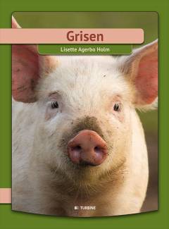 Grisen