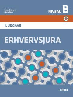 Erhvervsjura : niveau B
