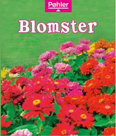 Blomster