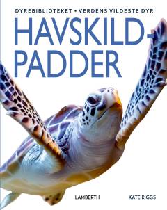 Havskildpadder