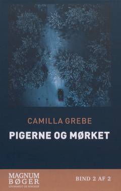 Pigerne og mørket. Bind 2 (Stor skrift)
