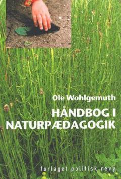 Bog, 2004