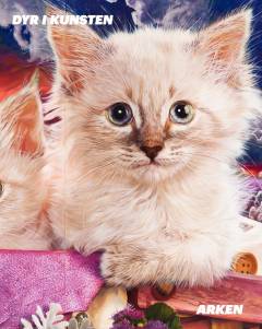 Bog, 1. udgave, 2020