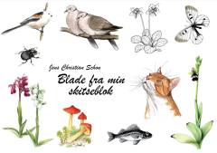 Blade fra min skitseblok