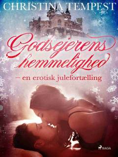 Godsejerens hemmelighed : en erotisk julefortælling
