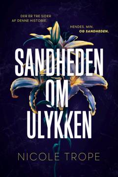 Sandheden om ulykken