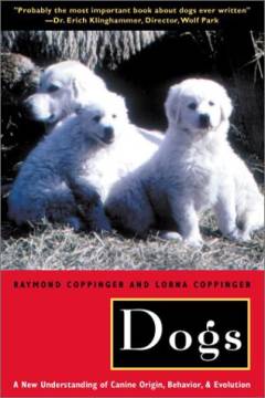 Dogs : a new understanding of canine origin, behavior, and evolution